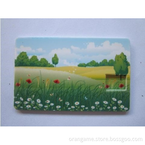 OEM USB Business Credit Card, USB Card, Card USB Flash Drive